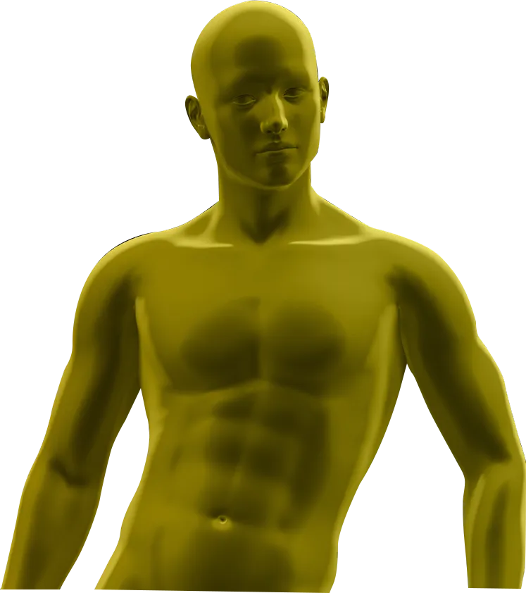 3d Gender Male image
